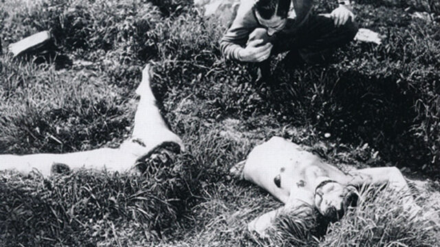 The Black Dahlia