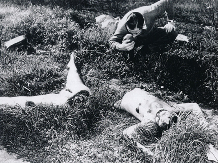 The Black Dahlia